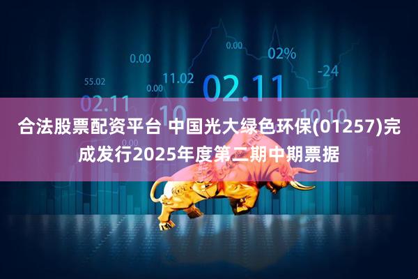 合法股票配资平台 中国光大绿色环保(01257)完成发行2025年度第二期中期票据